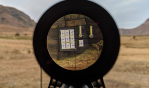Important Factors in Choosing Quality Rifle Optics